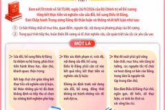 Kết luận số 103-KL/TW về Đề cương tổng kết thực tiễn và nghiên cứu sửa đổi, bổ sung Điều lệ Đảng