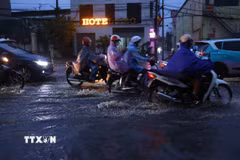 Ảnh minh họa. (Ảnh: Văn Điệp/TTXVN)