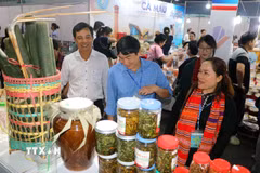 Khách tham quan hội chợ triển lãm sản phẩm công nghiệp nông thôn tiêu biểu khu vực phía Nam. (Ảnh: Thanh Vũ/TTXVN)