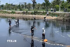 Người dân đổ xô đi câu bắt cá tại Hồ điều hòa Hồ Sơn bất chấp cảnh báo cấm của chính quyền. (Ảnh: Tường Quân/TTXVN)