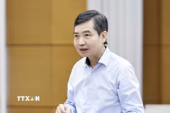 Thứ trưởng Bộ Tài chính Tạ Anh Tuấn thuyết trình về nội dung cơ bản của dự thảo. (Ảnh: Doãn Tấn/TTXVN)