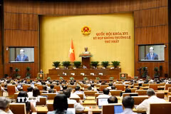 Quang cảnh phiên họp. (Ảnh: Doãn Tấn/TTXVN)