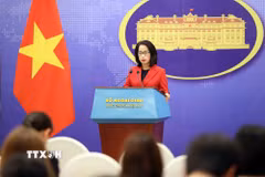 Người phát ngôn Bộ Ngoại giao Phạm Thu Hằng chủ trì họp báo. (Ảnh: An Đăng/TTXVN)