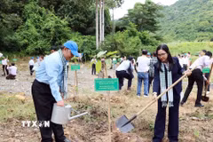 Lãnh đạo HUFO trồng cây tại "Vườn cây hữu nghị" của Đặc khu Côn Đảo. (Ảnh: Xuân Khu/TTXVN)