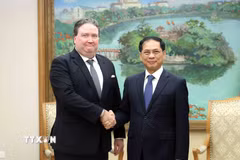 Phó Thủ tướng Bùi Thanh Sơn tiếp Đại sứ Hoa Kỳ tại Việt Nam Marc E. Knapper. (Ảnh: An Đăng/TTXVN)