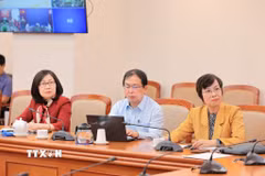 Các đại biểu tham dự Hội nghị tại điểm cầu Thông tấn xã Việt Nam. (Ảnh: Lê Đông/TTXVN)