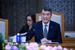Thủ tướng Lê Minh Hưng tại cuộc tiếp Bộ trưởng Ngoại giao Cộng hòa Chile Francisco Pérez Mackenna. (Ảnh: Dương Giang/TTXVN)