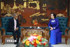 Phó Thủ tướng Phạm Thị Thanh Trà tiếp ông Sanjay Wijesekera, Giám đốc Quỹ Nhi đồng Liên hợp quốc (UNICEF) khu vực châu Á-Thái Bình Dương. (Ảnh: Dương Giang/TTXVN)