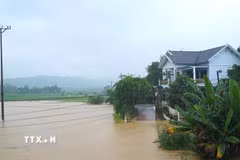 Nhà dân ở Thanh Hóa ngập sâu trong biển nước. (Ảnh: Nguyễn Nam/TTXVN)