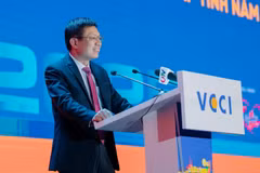 Theo Chủ tịch VCCI Hồ Sỹ Hùng, khu vực kinh tế tư nhân đang đứng trước những cơ hội phát triển chưa từng có, song cũng phải nâng cao năng lực thích ứng trước những yêu cầu mới của nền kinh tế.