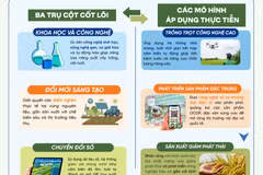 Nghị quyết 57-NQ/TW đột phá chuyển đổi: Công nghệ tái cấu trúc nông nghiệp