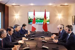 Tổng Bí thư, Chủ tịch nước Tô Lâm tiếp Giáo sư Graham Carr, Hiệu trưởng Trường Đại học Concordia. (Ảnh: Thống Nhất/TTXVN)