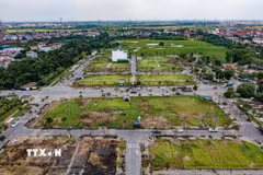 (Ảnh minh họa: Trung Nguyên/TTXVN)