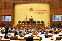 Quang cảnh phiên họp. (Ảnh: Doãn Tấn/TTXVN)
