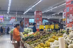 (Ảnh minh họa. Khoa Chương/TTXVN)