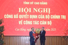 (Ảnh: Chu Hiệu,TTXVN)