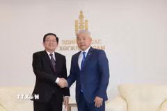 Phó Thủ tướng Hồ Quốc Dũng hội kiến Phó Thủ tướng Thường trực, Bộ trưởng Kinh tế và Phát triển Mông Cổ Enkhbayar. (Ảnh: TTXVN phát)