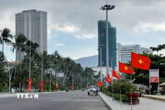 Một góc thành phố Quy Nhơn. (Ảnh: Nguyên Linh/TTXVN)