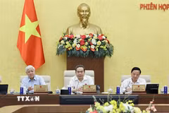 Chủ tịch Quốc hội Trần Thanh Mẫn phát biểu. (Ảnh: Doãn Tấn/TTXVN)