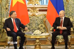 Tổng Bí thư, Chủ tịch nước Tô Lâm gặp hẹp Tổng thống Liên bang Nga Vladimir Putin. (Ảnh: Thống Nhất/TTXVN)