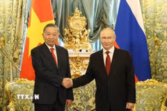 Tổng Bí thư, Chủ tịch nước Tô Lâm và Tổng thống Nga Vladimir Putin chụp ảnh chung trước hội đàm. (Ảnh: Thống Nhất/TTXVN)