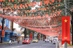 Đường phố phường Buôn Ma Thuột, tỉnh Đắk Lắk được trang trí cờ hoa rực rỡ. (Ảnh: Tuấn Anh/TTXVN)
