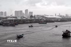 Tàu thuyền neo đậu tránh bão an toàn tại Âu thuyền Thọ Quang (Đà Nẵng). (Ảnh: Trần Lê Lâm/ TTXVN)