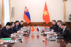 Thứ trưởng Bộ Ngoại giao Ngô Lê Văn và Quốc vụ khanh Bộ Ngoại giao Slovakia Marek Estok đồng chủ trì Tham vấn Chính trị cấp Thứ trưởng Ngoại giao Việt Nam- Slovakia. (Ảnh: An Đăng/TTXVN)