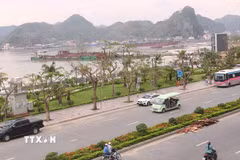 Tuyến đường trung tâm trên đảo Cát Bà, huyện Cát Hải. (Ảnh: Minh Thu/TTXVN)