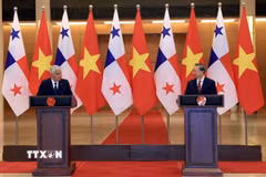 Tổng Bí thư, Chủ tịch nước Tô Lâm và Tổng thống Cộng hòa Panama José Raúl Mulino gặp gỡ báo chí sau hội đàm. (Ảnh: Tuấn Anh/TTXVN)