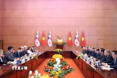 Tổng Bí thư, Chủ tịch nước Tô Lâm và Tổng thống Panama José Raúl Mulino hội đàm. (Ảnh: Thống Nhất/TTXVN)