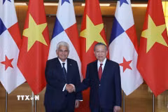 Tổng Bí thư, Chủ tịch nước Tô Lâm và Tổng thống Panama José Raúl Mulino. (Ảnh: Thống Nhất/TTXVN)