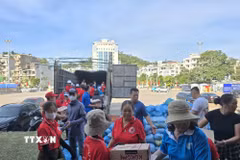 Hoạt động của Hội Chữ thập Đỏ tỉnh Quảng Ninh. (Ảnh: Thanh Vân/TTXVN)