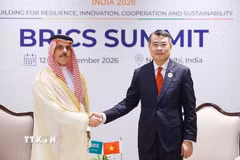 Thủ tướng Chính phủ Lê Minh Hưng tiếp Bộ trưởng Ngoại giao Saudi Arabia Faisal bin Farhan Al Saud. (Ảnh: Dương Giang/TTXVN)