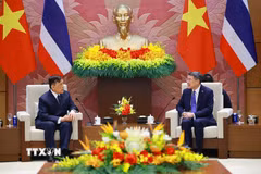 Thủ tướng Lê Minh Hưng hội kiến Nhà vua Vương quốc Thái Lan Maha Vajiralongkorn Phra Vajiraklaochaoyuhua và Hoàng hậu. (Ảnh: Dương Giang/TTXVN)