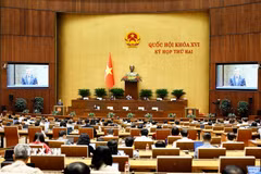 Bộ trưởng Bộ Tài chính Ngô Văn Tuấn phát biểu giải trình, làm rõ một số vấn đề đại biểu Quốc hội nêu. (Ảnh: Doãn Tấn/TTXVN)