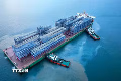 Công ty Doosan Enerbility Việt Nam (Doosan Vina) xuất khẩu gần 2.000 tấn Module “Made in Vietnam” đến Nhà máy Golden Triangle Polymers đặt tại bang Texas, Hoa Kỳ sau hơn 10 tháng sản xuất (Quảng Ngãi, 3/2024). (Ảnh: TTXVN phát)