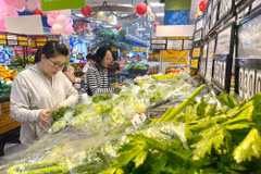 Thực phẩm tươi sống, rau củ là nhóm hàng có số lượng sản phẩm "Tick xanh trách nhiệm" chiếm đa số tại các siêu thị trên địa bàn Thành phố Hồ Chí Minh. (Ảnh: Hương Giang/TTXVN)
