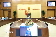 Phó Chủ tịch Quốc hội Nguyễn Thị Thanh phát biểu. (Ảnh: Minh Đức/TTXVN)