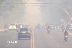 Khói mù dày đặc bao phủ tại Palangka Raya, Trung Kalimantan, Indonesia. (Ảnh: THX/TTXVN phát)