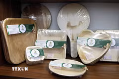 Sản phẩm chén, đĩa sinh học từ mo cau, góp phần giảm thiểu rác thải nhựa trong đời sống hiện đại. (Ảnh: Tạ Toàn/TTXVN)