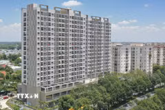  (Ảnh minh họa: Công Phong/TTXVN)