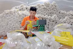 Sản phẩm mỳ gạo của Hợp tác xã Tiến Diện đạt OCOP 3 sao đến từ Thái Nguyên đã được tiêu thụ tại thị trường Đức. (Ảnh: Trần Việt/TTXVN)