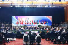 Hội nghị Cấp cao Kinh tế ASEAN - Hội đồng Hợp tác Vùng Vịnh (GCC) - Trung Quốc. (Ảnh: Dương Giang/TTXVN)