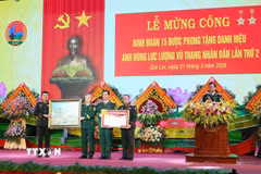 Binh đoàn 15 đón nhận danh hiệu Anh hùng Lực lượng vũ trang nhân dân lần thứ 2. (Ảnh: Hồng Điệp/TTXVN)