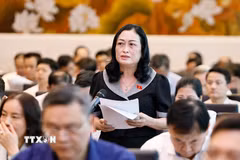 Đại biểu Quốc hội tỉnh Cà Mau Trần Thị Hoa Ry phát biểu. (Ảnh: Doãn Tấn/TTXVN)