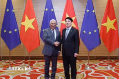 Chủ tịch nước Lương Cường và Chủ tịch Hội đồng châu Âu António Costa chụp ảnh chung.(Ảnh: Lâm Khánh/TTXVN)