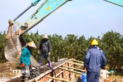 Đơn vị thi công dự án cầu Tứ Liên đang lắp dựng khuôn bệ đúc dầm Super T phục vụ các hạng mục cầu chính. (Ảnh: TTXVN)