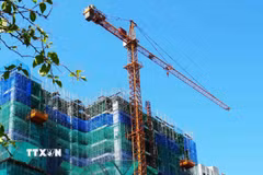 (Ảnh minh họa: Nguyên Lý/TTXVN)