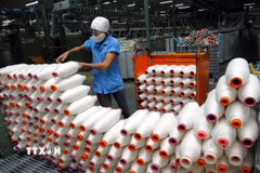 Công ty chuyên sản xuất các loại sợi 100% cotton xuất khẩu sang nhiều thị trường, trong đó có Ba Lan. (Ảnh minh họa: Danh Lam/TTXVN)